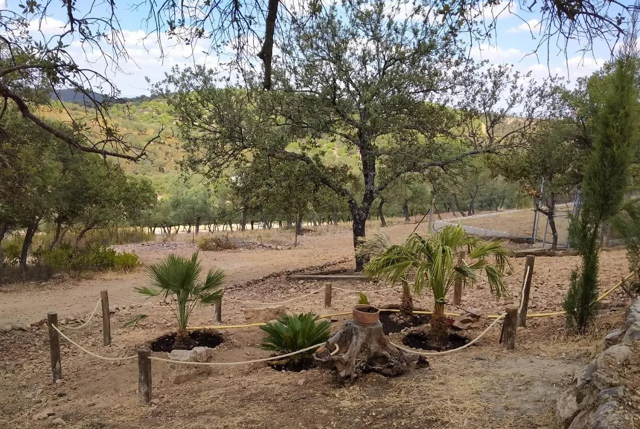 La Romera Villanueva del Duque Spain